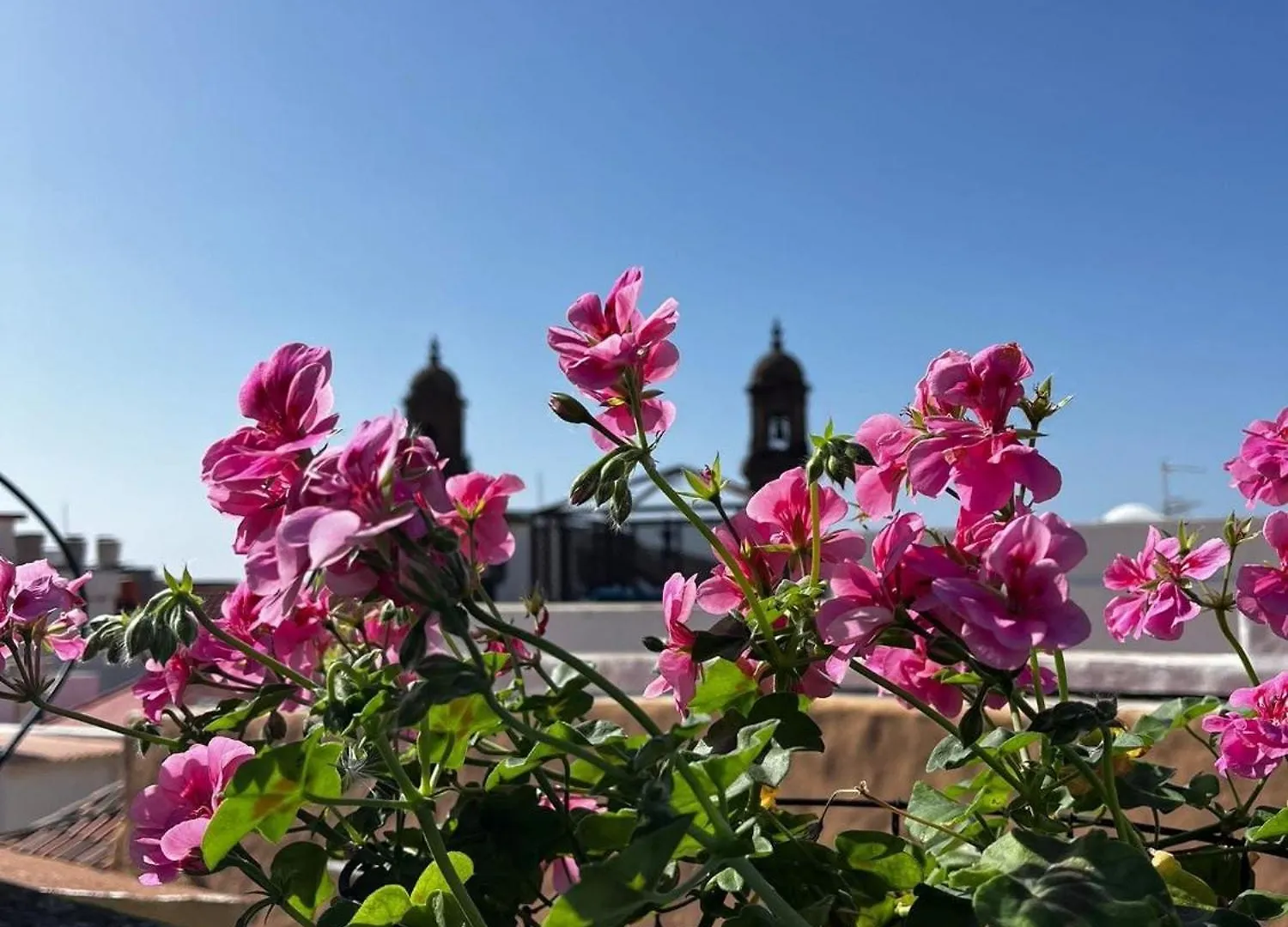 Casa Verde De Guia Santa Maria de Guia de Gran Canaria